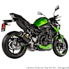 akrapovic-exhaust-kawasaki-z900-(20-22)_detail8.jpg