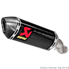 akrapovic-exhaust-kawasaki-zx-10-r-rr-(16-20).jpg