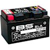 BS Batteries Motorcycle Battery - SLA Sealed Lead Acid BTZ10S
