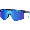 pit-viper_sunglasses_the-hail-sagan-polarized-2000s_detail1.jpg