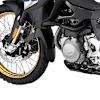 pyramid-extenda-fenda-matte-black-bmw-f850-gs-adventure-2018.jpg