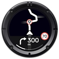 Beeline Moto II - Anniversary Limited Edition