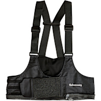 Halvarssons Bib V2