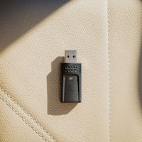 Quad Lock&reg; Wireless Apple CarPlay / Android Auto Mini USB Adapter