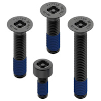 Quad Lock Anti-Theft Screw Kit