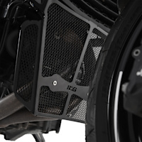 R&G Racing Downpipe Grille - BMW F900R
