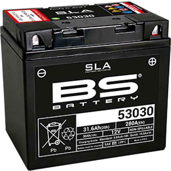 BS Batteries BS Batteries Motorcycle Battery - 53030 SLA Sealed Lead Acid